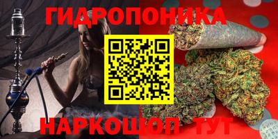 гидра Гусев