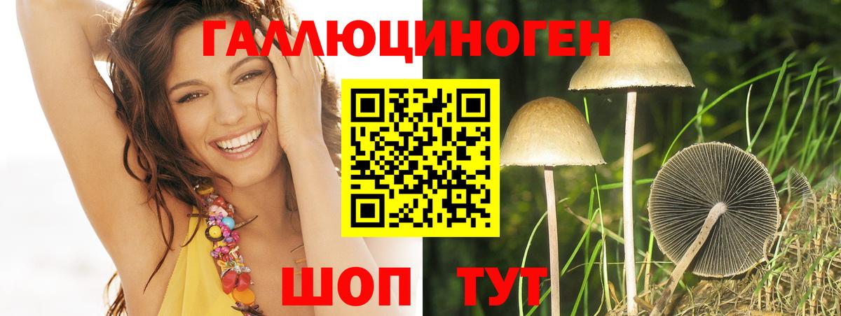 Оренбург  Псилоцибиновые грибы мицелий  что такое   Вход с VPN 